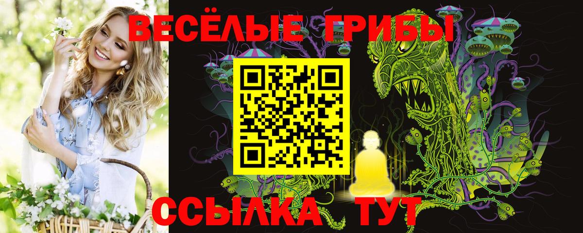 Галлюциногенные грибы прущие грибы Белебей