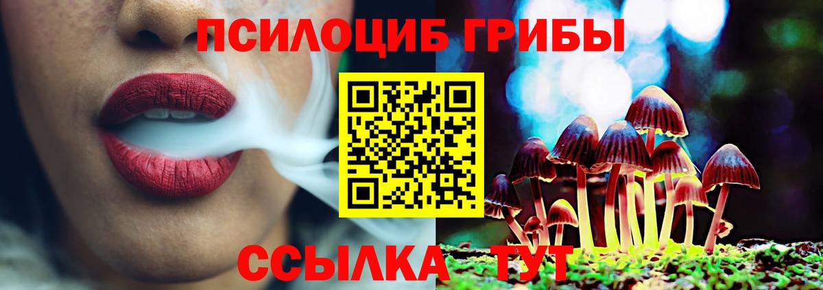 Псилоцибиновые грибы Cubensis  даркнет сайт  Белебей  Вход с VPN 